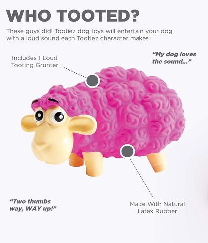 Outward Hound Latex-Free Big Squeak Hedgehog Dog Toy in Kuwait