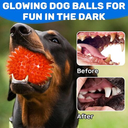 6 Pack 2.5" Light Up Squeaky Dog Balls, Spiky Dog Toy Balls for Puppy Small,Medium Dogs in Kuwait