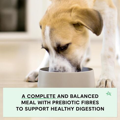Open Farm, Grain-Free Dry Dog Food, Complete & Balanced Kibble, Sustainably & Ethically Sourced Ingredients, Non-GMO Veggies & Superfoods, Catch-of-The-Season Whitefish Recipe, 22lb Bag in Kuwait