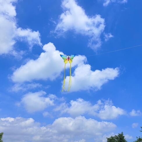 الطائرات الورقية الكبيرة للأطفال والبالغين ، يسهل الطيران والتجميع للمبتدئين والأطفال الصغار ، مع مقبض سلسلة طائرة ورقية 300 قدم ، طائرة ورقية شاطئية واحدة. in Kuwait