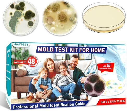 Mold Test Kit for Home: 6 Simple Mold Detector with Detailed Identification Guide for Home Surfaces & Indoor Air Quality & HVAC Testing Results in 48 Hours - at Home Black Mold Detection Kit in Saudi Arabia