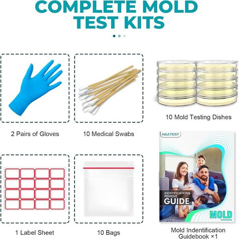 Mold Test Kit for Home: 6 Simple Mold Detector with Detailed Identification Guide for Home Surfaces & Indoor Air Quality & HVAC Testing Results in 48 Hours - at Home Black Mold Detection Kit in Saudi Arabia