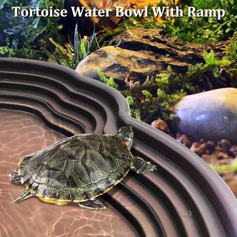 Reptile Bathing Pool 2-in-1 Tortoise Water Dish with Ramp Large Turtle Feeding Bowl with Steps Plastic Reptile Food & Water Dishes 7 Pcs Gecko Habitat Decoration Accessories Lizard Bath Tub in Kuwait
