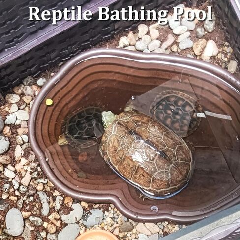 Reptile Bathing Pool 2-in-1 Tortoise Water Dish with Ramp Large Turtle Feeding Bowl with Steps Plastic Reptile Food & Water Dishes 7 Pcs Gecko Habitat Decoration Accessories Lizard Bath Tub in Kuwait