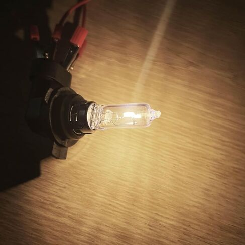 ALKOREY-H7 12V 55W Px26d Car Headlight Bulb,Auto Halogen Lamp,3300K Headlamp Hight/Low Beam Light,2 PACK in Kuwait