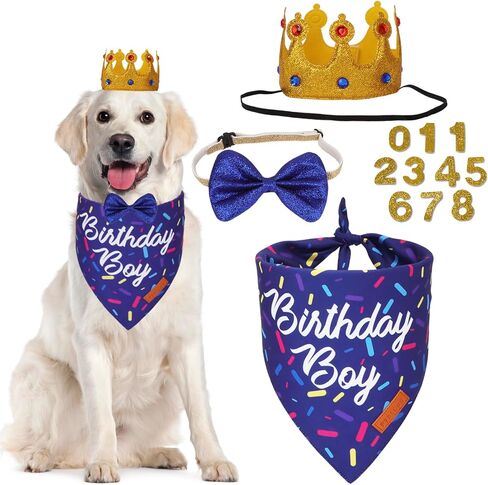 Ptdecor Dog Birthday Party Supplies ، Birthniday Boy Bandana Golden King Crowns with Truments Puppy Blue Dog Bow for median اطلب من الحيوانات الأليفة الصغيرة (الأزرق) in Kuwait