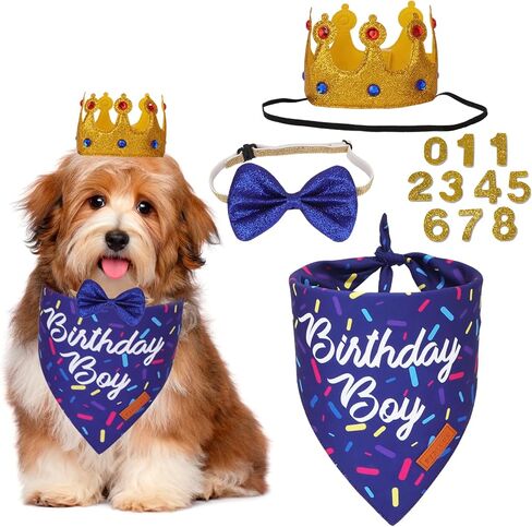 Ptdecor Dog Birthday Party Supplies ، Birthniday Boy Bandana Golden King Crowns with Truments Puppy Blue Dog Bow for median اطلب من الحيوانات الأليفة الصغيرة (الأزرق) in Kuwait