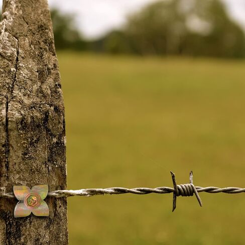 Fence Nails - Steel Wire Fencing Staple for Softwoods, Reuse Fence Staple Fasteners Nails with Wire Fixer, for Wire Mesh and Woven Fencing, Patent Pending in Saudi Arabia