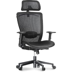 FLEXISPOT Ergonomic Office Chair, Mesh Swivel Computer Chair, Home Office Desk Chairs, with 2D Headrest/Lumber Support/300LBS Heavy Duty, Mesh Seat Cushion, Black