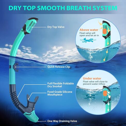Snorkeling Gear for Adults, Mask Fin Snorkel Set, Dry Top Snorkel, Snorkeling Kit Travel Diving Package, Panoramic View Anti-Fog Anti-Leak Adjustable Swim Fins (L/XL) in Saudi Arabia
