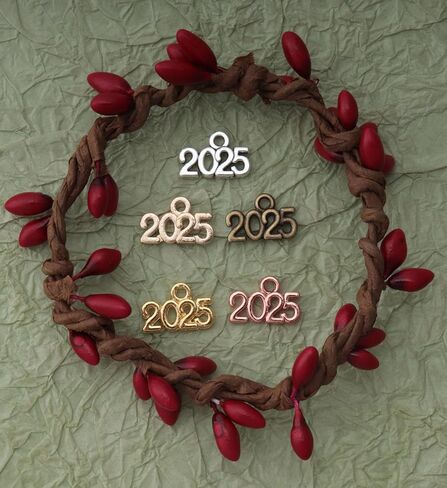 Ruwado 50 Pcs 2025 Year Jewelry Making Kits Metal Small Signet 1.4 x 0.9 cm Cute Kits for Bracelet Necklace Earring Keychain Crafting DIY Graduation Tassel Parties Decoration (Colorful) in Kuwait