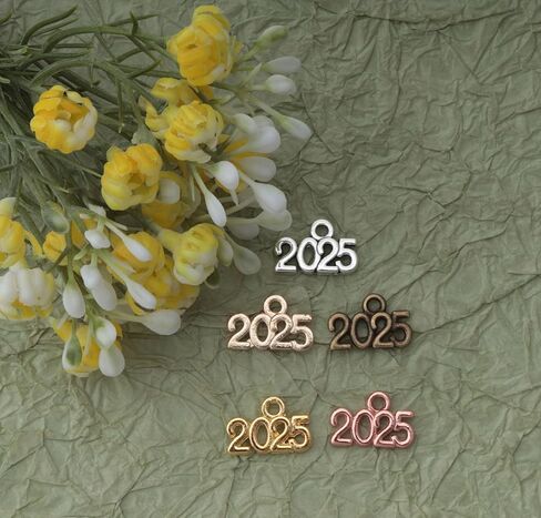 Ruwado 50 Pcs 2025 Year Jewelry Making Kits Metal Small Signet 1.4 x 0.9 cm Cute Kits for Bracelet Necklace Earring Keychain Crafting DIY Graduation Tassel Parties Decoration (Colorful) in Kuwait