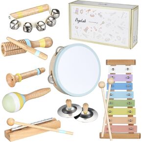 Musical Toys for Toddlers,POGOLAB Montessori Toys,Educational Wooden Percussion Toys,Gifts for 3 Years Old Boys and Girls, Xylophone,Cymbal,Tambourine,Maraca,Hand Bells,Chime bar