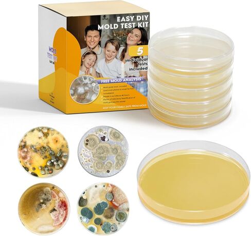 Mold Test Kit for Home with Free Lab Analysis - 10 Simple Detection Tests DIY at Home Mold Air Tester - Test HVAC System,Surface Mold for Home Indoor & Outdoor Air Quality Mold Testing Kits Detector in Saudi Arabia