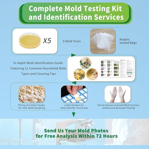 Mold Test Kit for Home with Free Lab Analysis - 10 Simple Detection Tests DIY at Home Mold Air Tester - Test HVAC System,Surface Mold for Home Indoor & Outdoor Air Quality Mold Testing Kits Detector in Saudi Arabia