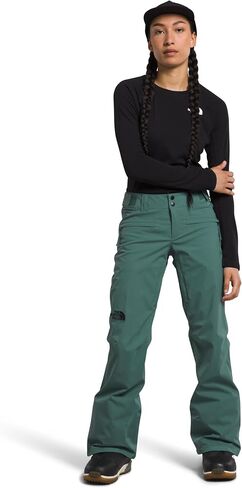 THE NORTH FACE Women's Freedom Stretch Pant (Standard and Plus Size), Boysenberry, Large Regular in Saudi Arabia
