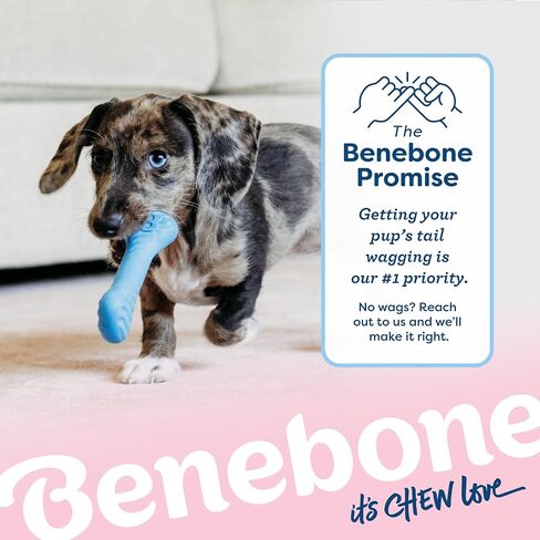 Benebone Puppy 2-Pack Dental Chew/Wishbone Dog Chew Toys, Made in USA, Real Bacon Flavor in Saudi Arabia
