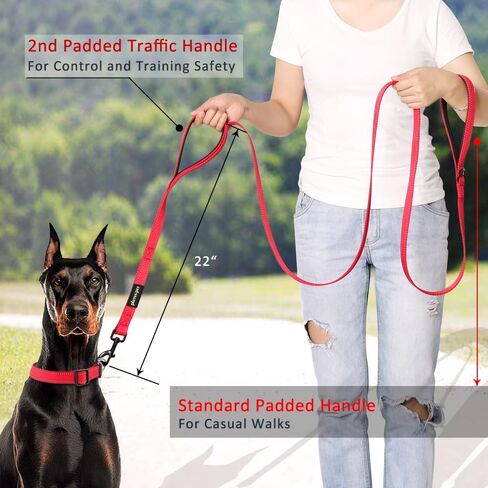 Pioneer Petcore ™ Dog Leash بطول 6 أقدام ، وحركة مرحلة مبطنة مقبضين ، واجب شاق ، ومقابض مزدوجة عاكسة تؤدي إلى التدريب على السلامة السيطرة ، والمكاسب للكلاب الكبيرة أو الكلاب المتوسطة ، والمقابض المزدوجة (الوردي) in Kuwait