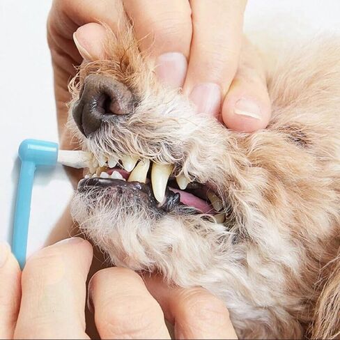 Dog Toothbrush, 360 Degree Finger Toothbrushes, Triple Head Toothbrushes, Double Head Toothbrush,Cleaning Brushes for Dog Cat Oral Dental Health (9 Pack) in Kuwait