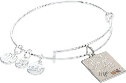 Alex and Ani Pumpkin Spice to Go سوار سلكي قابل للتوسيع، لمسة نهائية فضية لامعة، سحر متعدد الألوان، من 2 إلى 3.5 بوصة in Kuwait