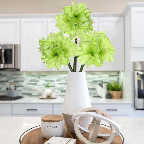 Briful 3PCS Amaryllis Artificial Flowers 17.3 Inch Faux Amaryllis Lily Flowers Stems with 4 Heads Silk Floral Bouquet for Christmas Home Room Table Centerpiece Wedding Party Arrangements(Red) in Kuwait