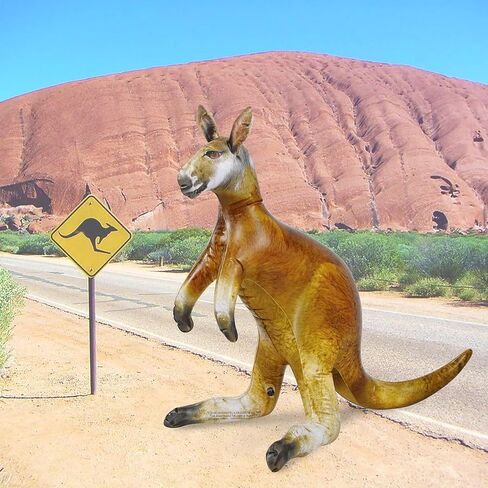 Jet Creations Alligator Inflatable 49" (76" Head to Tail) Long, Green with Armor Imprint, Realistic Wild Animal, Sports Team Mascot, Pool, Garden Decor, Photo Prop, Bird Deterrent, 1 pc in Kuwait