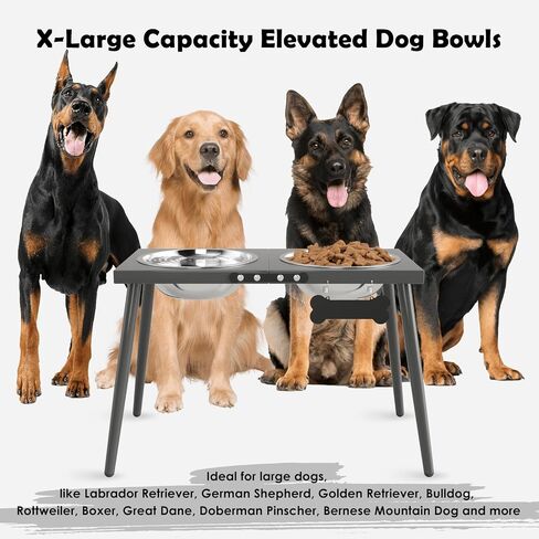 Metal Raised Dog Bowl Stand for Large and Medium Dogs, Stronger Elevated Dog Bowls with Sprill Proof Mat, Dog Food & Water Bowls 10" Tall Dog Feeder (58OZ-Stainless Steel Dog Bowls, Mat-16x24) in Saudi Arabia