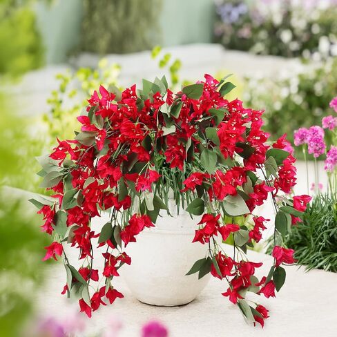 RECUTMS Artificial Fake Hanging Plants Flowers for Outdoor 4pcs Faux Silk Red Bougainvillea Long Vines Stems Realistic UV Resistant for Home Porch Patio Balcony Garden Yard Outside (rose red) in Saudi Arabia