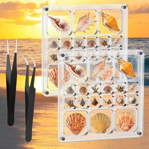 Acrylic Magnetic Seashell Display Box,Clear Sea Shell Holder Display Box,Beach Shelling Tools Storage Organizer Bag,Seashell Display Case(36 grids) in Saudi Arabia