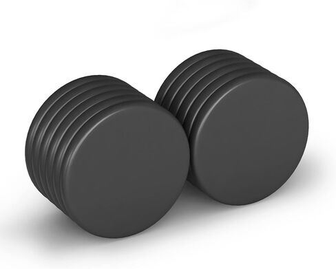 Realth Neodymium Magnet Disc, Dia. 0.79 Inch × 0.08 Inch 12 Pack, Permanent Rare Earth Magnets for Research Industrial Purposes Educational in Saudi Arabia