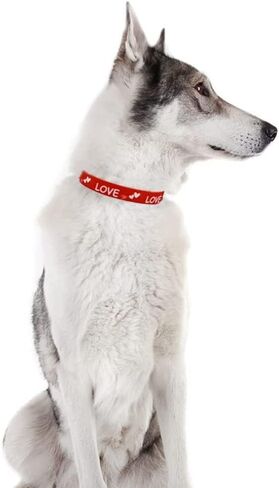 2 Pack Valentine’s Day Dog Collar Adjustable Heavy Duty Nylon Holiday Pet Collars Red and Pink Small in Kuwait