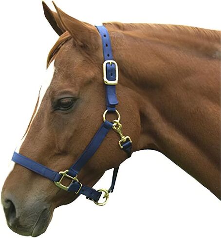 Intrepid International Nylon Halter in Saudi Arabia