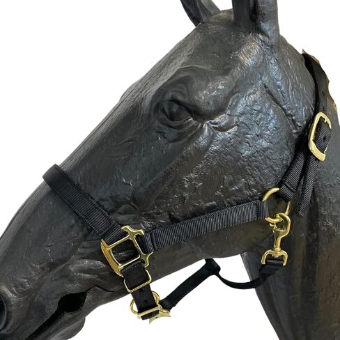 Intrepid International Nylon Halter in Saudi Arabia