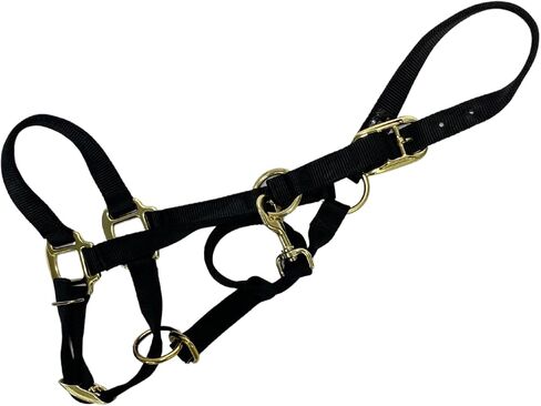 Intrepid International Nylon Halter in Saudi Arabia