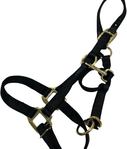 Intrepid International Nylon Halter in Saudi Arabia