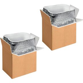Simple Deluxe 2 Pack Insulated Shipping Boxes with Aluminum Foil Liner,Thermal Insulation Cold Pack Shipping Boxes for Frozen, Reusable Styrofoam Cooler Box, Small Mailing Box, 12''x10''x7''