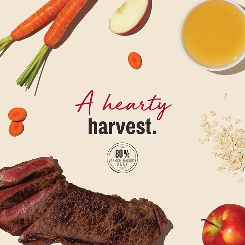 The Honest Kitchen Jerky Harvest Mini Bars: Beef Recipe With Carrots & Apples, 4 oz Bag in Kuwait