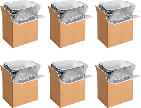 Simple Deluxe 2 Pack Insulated Shipping Boxes with Aluminum Foil Liner,Thermal Insulation Cold Pack Shipping Boxes for Frozen, Reusable Styrofoam Cooler Box, Small Mailing Box, 12''x10''x7'' in Saudi Arabia