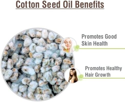 سالفيا | زيت التين نقي وطبيعي | العناية بالبشرة | العناية بالشعر | زيت عطري -50 مل in Kuwait