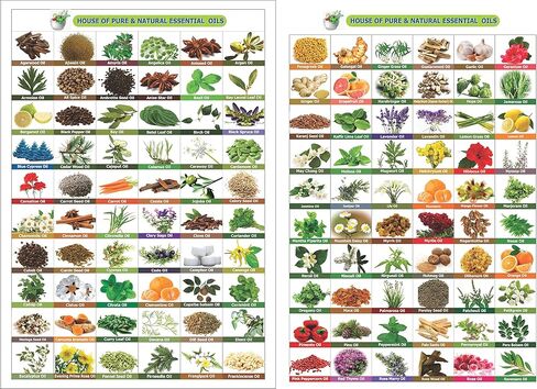 سالفيا | زيت التين نقي وطبيعي | العناية بالبشرة | العناية بالشعر | زيت عطري -50 مل in Kuwait