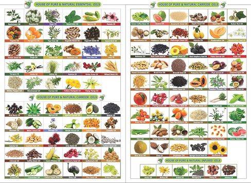 سالفيا | زيت التين نقي وطبيعي | العناية بالبشرة | العناية بالشعر | زيت عطري -50 مل in Kuwait