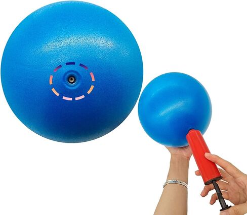 Mini Yoga Balls 6 Inch Exercise Pilates Therapy Balance Micropore Ball Barre Equipment for Home Stability Training Physical Core Training with Pump(5 PCS) in Saudi Arabia