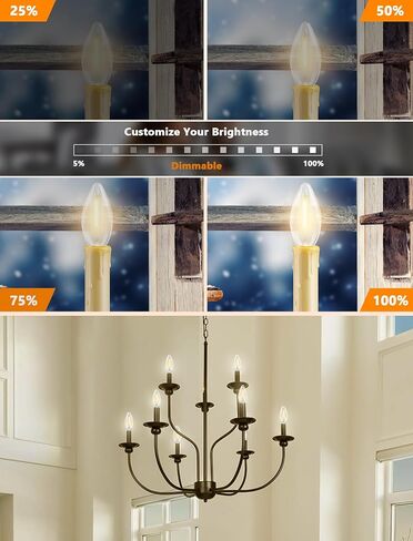 25Pack ST40 LED Replacement Light Bulbs,Vintage Edison Waterproof Shatterproof Dimmable E17 LED Bulbs for Indoor Outdoor Patio Wedding String Lights,0.6 Wat, Warm White, 2700K in Saudi Arabia