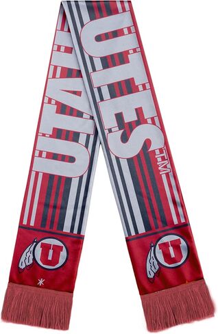 FOCO NCAA unisex 2016 Glitter Stripe Scarf in Saudi Arabia