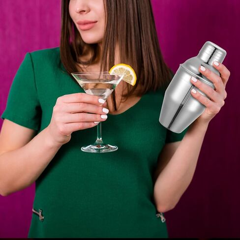 Nitial 6 Pcs Bar Cocktail Shaker Professional Stainless Steel Martini Shaker Drink Mixer with Built-in Strainer for Bartending No Leaks Boston Shaker for Bar Party Drink Mixing Tool(18.6 oz,Silver) in Saudi Arabia