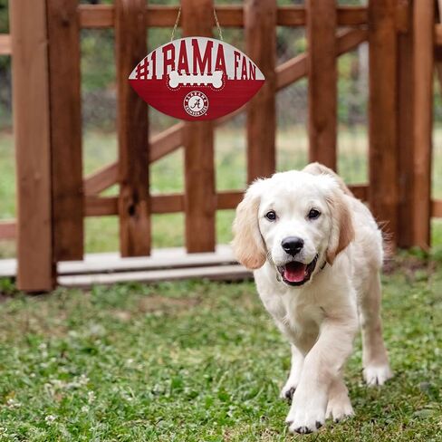 NCAA Georgia Bulldogs Best Fan's Football Shape Sign with Dog Bone Design, Sporty Fence Sign College Football Fan Waterproof Wooden Wall Sign Yard Decor Indoor & Outdoor with Team Logo! in Saudi Arabia