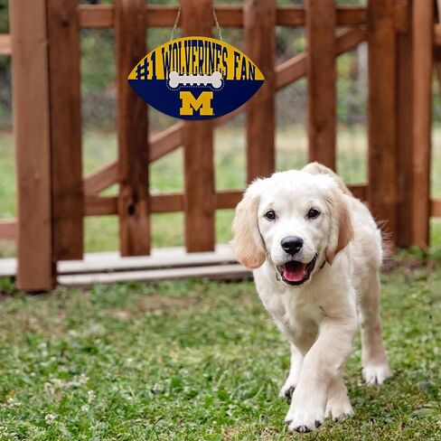 NCAA Georgia Bulldogs Best Fan's Football Shape Sign with Dog Bone Design, Sporty Fence Sign College Football Fan Waterproof Wooden Wall Sign Yard Decor Indoor & Outdoor with Team Logo! in Saudi Arabia