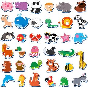 32 Shape and Color Magnets with Real World Objects for Comparison & Associative Memory, Perfect for Preschool Learning