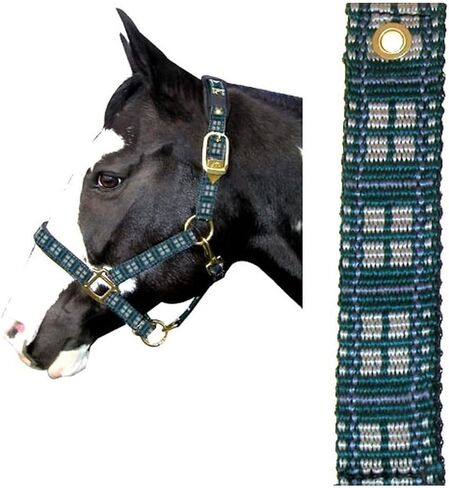Intrepid International Plaid Nylon Padded Horse Halter in Saudi Arabia