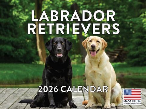 French Bulldog Calendar 2025 Frenchie Dog Gifts Monthly Wall Calender 12 Month | American Made In The USA in Saudi Arabia